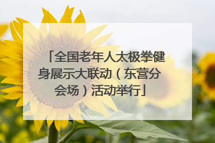 全国老年人太极拳健身展示大联动（东营分会场）活动举行