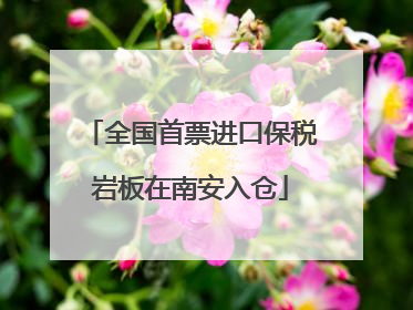 全国首票进口保税岩板在南安入仓