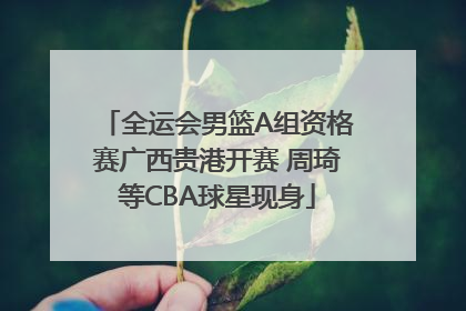 全运会男篮A组资格赛广西贵港开赛 周琦等CBA球星现身