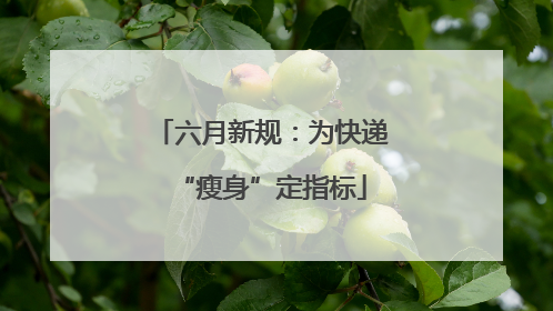 六月新规：为快递“瘦身”定指标
