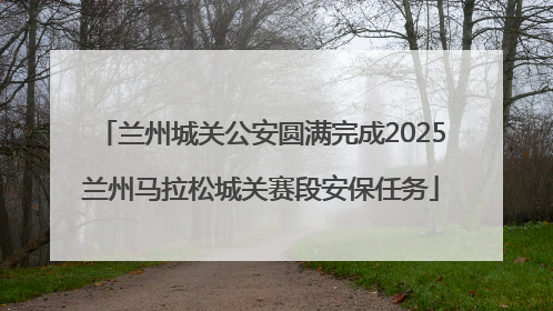 兰州城关公安圆满完成2025兰州马拉松城关赛段安保任务