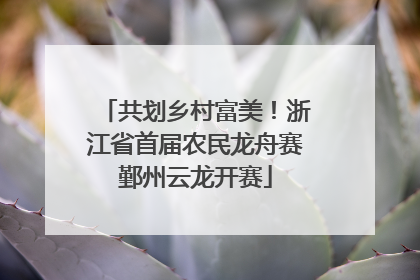 共划乡村富美！浙江省首届农民龙舟赛鄞州云龙开赛
