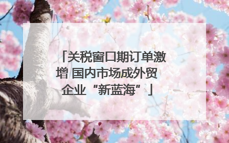 关税窗口期订单激增 国内市场成外贸企业“新蓝海”