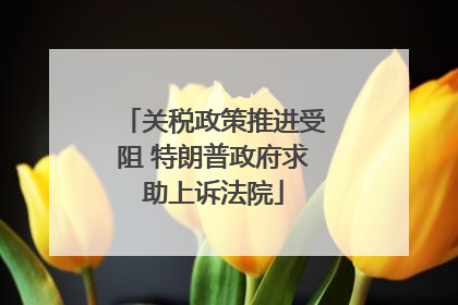 关税政策推进受阻 特朗普政府求助上诉法院