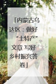 内蒙古乌达区：做好“土特产”文章 写好乡村振兴答卷