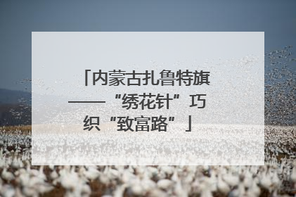 内蒙古扎鲁特旗——“绣花针”巧织“致富路”