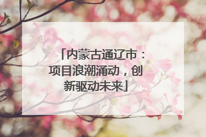 内蒙古通辽市：项目浪潮涌动，创新驱动未来