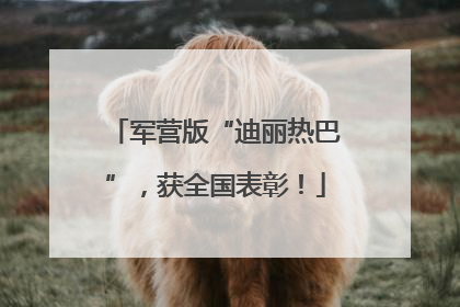 军营版“迪丽热巴”，获全国表彰！