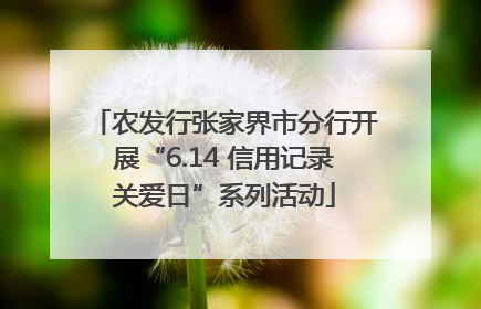 农发行张家界市分行开展“6.14 信用记录关爱日”系列活动