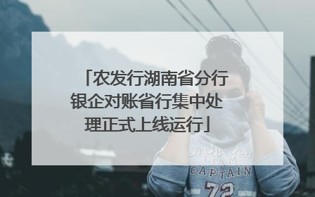 农发行湖南省分行银企对账省行集中处理正式上线运行