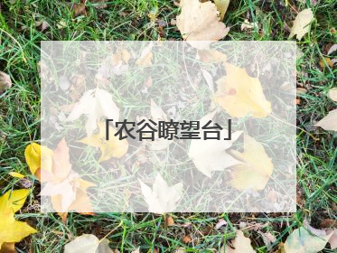 农谷瞭望台
