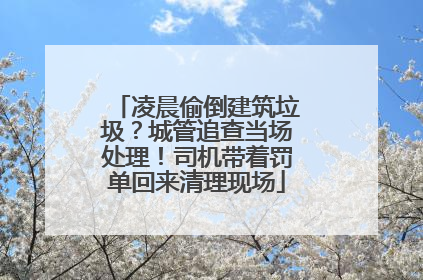 凌晨偷倒建筑垃圾？城管追查当场处理！司机带着罚单回来清理现场