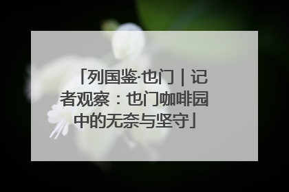 列国鉴·也门｜记者观察：也门咖啡园中的无奈与坚守