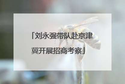 刘永强带队赴京津冀开展招商考察
