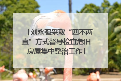 刘永强采取“四不两直”方式督导检查危旧房屋集中整治工作