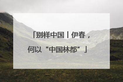 别样中国丨伊春，何以“中国林都”