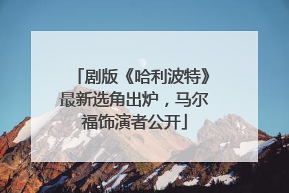 剧版《哈利波特》最新选角出炉，马尔福饰演者公开