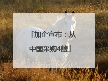 加企宣布：从中国采购4艘