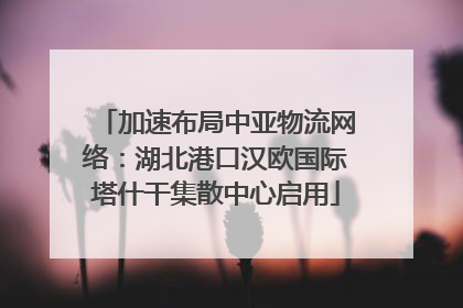 加速布局中亚物流网络：湖北港口汉欧国际塔什干集散中心启用