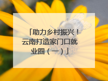 助力乡村振兴！云南打造家门口就业圈（一）