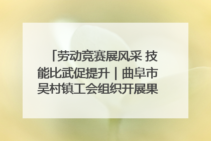 劳动竞赛展风采 技能比武促提升｜曲阜市吴村镇工会组织开展果树套袋技能竞赛