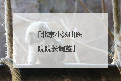 北京小汤山医院院长调整