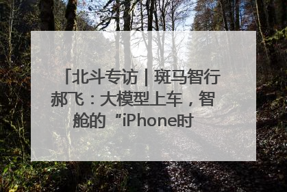 北斗专访｜斑马智行郝飞：大模型上车，智舱的“iPhone时刻”何时到来
