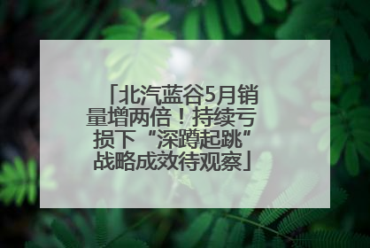北汽蓝谷5月销量增两倍！持续亏损下“深蹲起跳”战略成效待观察