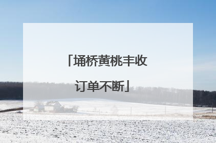 埇桥黄桃丰收 订单不断