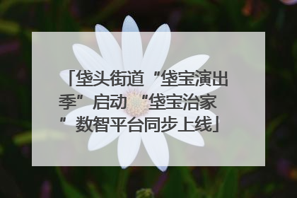 垡头街道“垡宝演出季”启动 “垡宝治家”数智平台同步上线