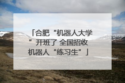 合肥“机器人大学”开班了 全国招收机器人“练习生”