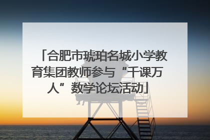 合肥市琥珀名城小学教育集团教师参与“千课万人”数学论坛活动