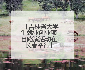 吉林省大学生就业创业项目路演活动在长春举行