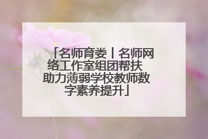 名师育娄丨名师网络工作室组团帮扶 助力薄弱学校教师数字素养提升