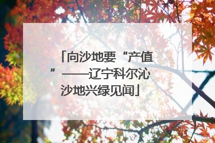 向沙地要“产值”——辽宁科尔沁沙地兴绿见闻
