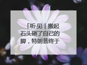 听·见｜搬起石头砸了自己的脚，特朗普终于“慌”了！