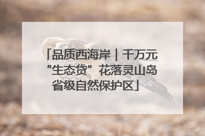 品质西海岸｜千万元“生态贷”花落灵山岛省级自然保护区