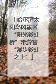 哈尔滨太阳岛风景区“阳光彩虹桥”带游客“漫步彩虹之上”