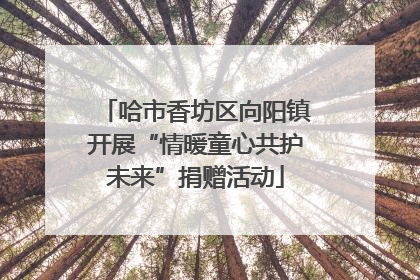 哈市香坊区向阳镇开展“情暖童心共护未来”捐赠活动