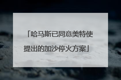 哈马斯已同意美特使提出的加沙停火方案