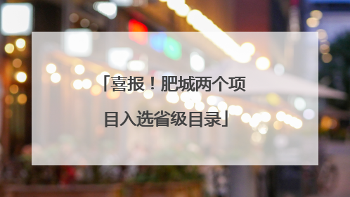 喜报！肥城两个项目入选省级目录