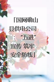 国网确山县供电公司：“五进”宣传 筑牢安全防线