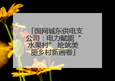 国网城东供电支公司：电力赋能“水果村” 绘就美丽乡村新画卷