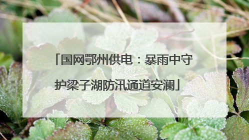 国网鄂州供电：暴雨中守护梁子湖防汛通道安澜