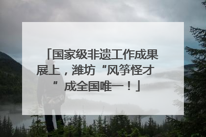 国家级非遗工作成果展上，潍坊“风筝怪才”成全国唯一！