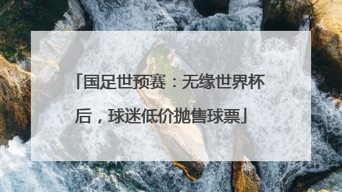 国足世预赛：无缘世界杯后，球迷低价抛售球票