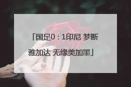 国足0∶1印尼 梦断雅加达 无缘美加墨