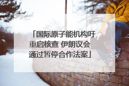 国际原子能机构吁重启核查 伊朗议会通过暂停合作法案
