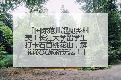 国际范儿遇见乡村美！长江大学留学生打卡石首桃花山，解锁农文旅新玩法！