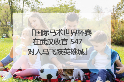 国际马术世界杯赛在武汉收官 547对人马飞跃英雄城
